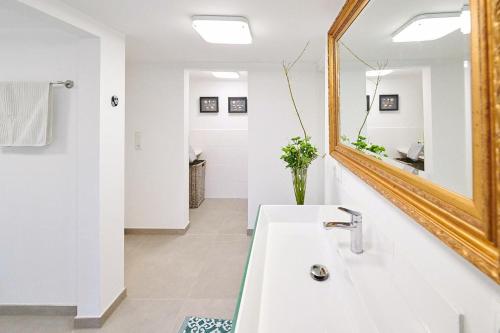 巴德茨维什安Ferienwohnung „Langer Jammer“ im Hesterhoff的一间带水槽和镜子的浴室