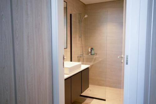 Ḩiz̧āyib az ZānahWe are 25 Mins to Downtown Dubai的一间带水槽和淋浴的浴室