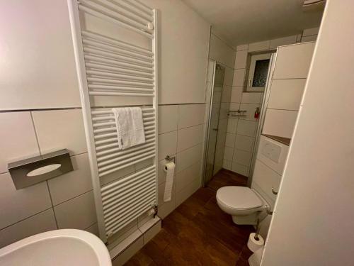 Groß Sarau诺比斯克鲁格酒店的一间带卫生间和水槽的小浴室