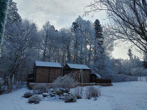 萨格奈Chateau Murdock Gite et Esthétique 1950的一座小小屋,位于一个有树木的雪覆盖的院子内