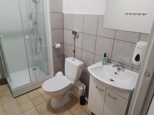 华沙Centrum ARTLwowska的浴室配有卫生间、淋浴和盥洗盆。