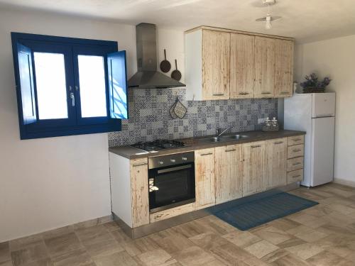 奥罗塞伊Casa Caterina的厨房配有木制橱柜、水槽和冰箱。
