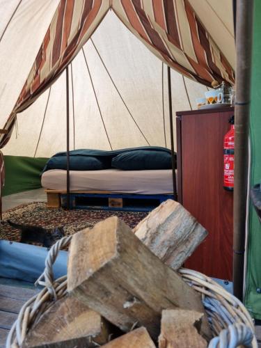 NistelrodeKampeerbeleving Dijksehoeve的帐篷内的一张床位,配有一篮木柴