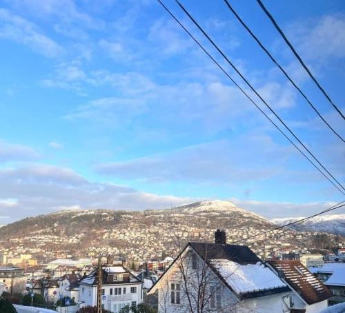 卑尔根Spacious and Beautiful Apartment in Bergen with free parking的相册照片