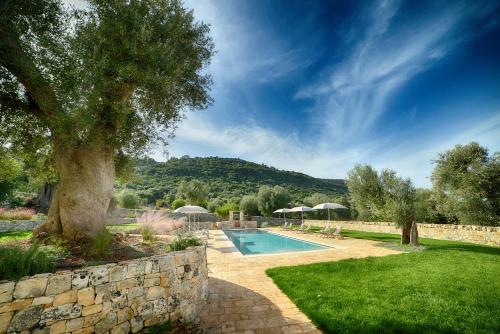 奥斯图尼Masseria Morrone的一座带石墙的庭院内的游泳池
