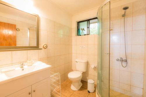 安加罗阿Cabaña Vaenga Miro的浴室配有卫生间、盥洗盆和淋浴。