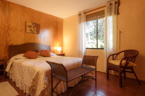 安加罗阿Cabaña Vaenga Miro的一间卧室配有一张床、两把椅子和一个窗户