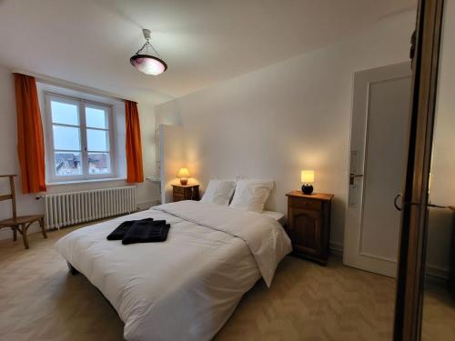 DamprichardVilla 18.78, 10 min de la Suisse的一间卧室配有一张带2个床头柜的大型白色床
