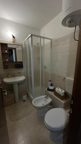 CollimentoBaita Campo Felice的一间带水槽、卫生间和淋浴的浴室