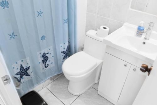 圣地亚哥Bonito departamento cerca del Parque Ohiggins的浴室配有卫生间、盥洗盆和淋浴。