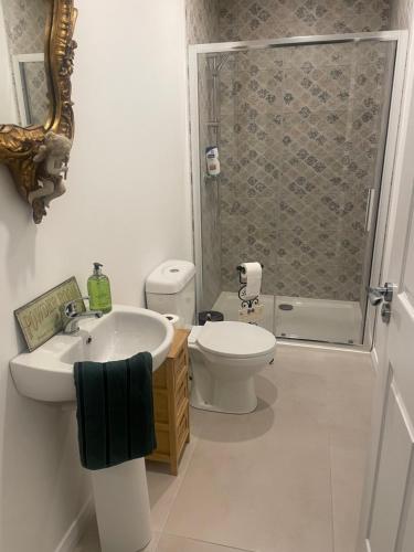 邓吉文Woodland lodge green room的一间带水槽、卫生间和淋浴的浴室