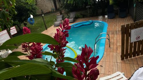 因比图巴Sol sal cabana p 10的一座游泳池,位于一个红色鲜花的庭院内