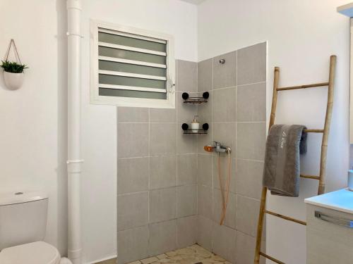 哥西尔Logement Charme vanillé - Gosier - 2 chambres - Piscine - Wifi - Parking的带淋浴、卫生间和窗户的浴室
