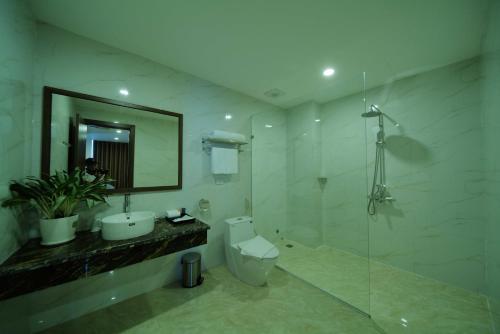 奠边府市Mường Thanh Grand Dien Bien Phu Hotel的一间带卫生间、水槽和镜子的浴室