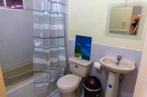 圣安娜Villa La Casita的一间带卫生间和水槽的浴室