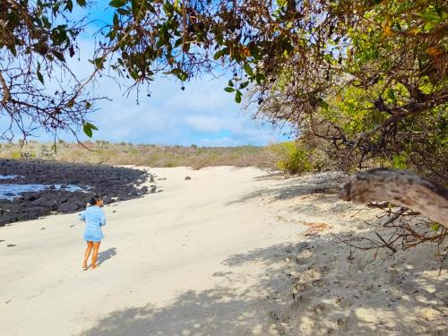 巴克里索莫雷诺港Cuarto en galápagos的穿蓝色衬衫的女人在海滩上散步