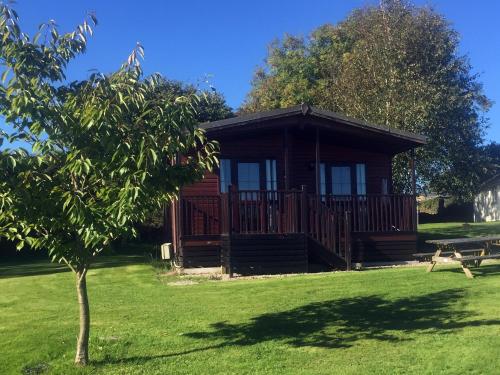 OtterhamSt Tinney Farm Cornish Cottages & Lodges, a tranquil base only 10 minutes from the beach的公园里的小木屋,有树