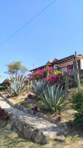 Cabañas Cañon Del Chicamocha