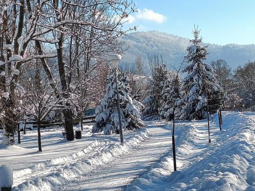 米卢夫卡Pod Modrzewiami的一座有雪覆盖的公园,里面种有树木,有街灯