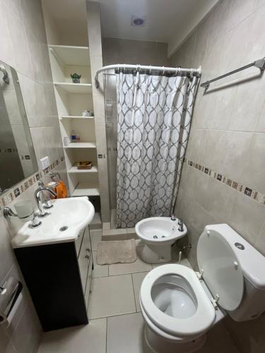 乌斯怀亚Ushuaia aparts Depto 2的浴室配有卫生间、淋浴和盥洗盆。