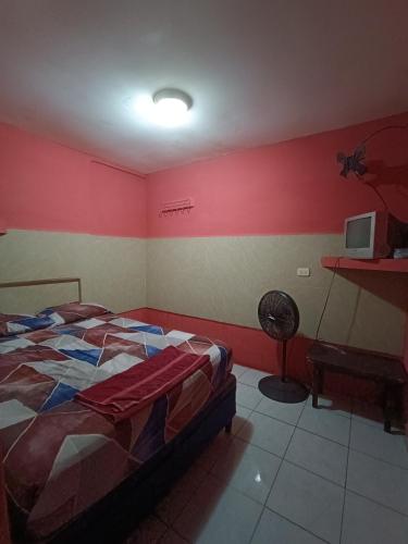 JinotegaHotel Sleep Inn Brumas的卧室配有一张床,墙上配有电视。