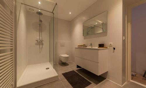 豪达Hofje van Sint Jan的带淋浴、盥洗盆和卫生间的浴室