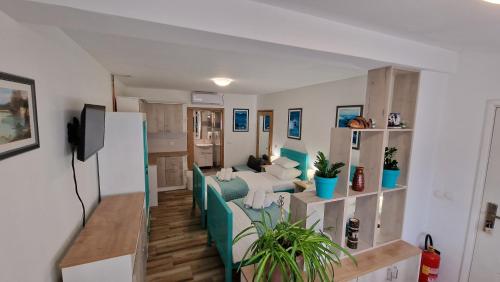 GarešnicaOPG VIDA的客厅配有沙发和桌子