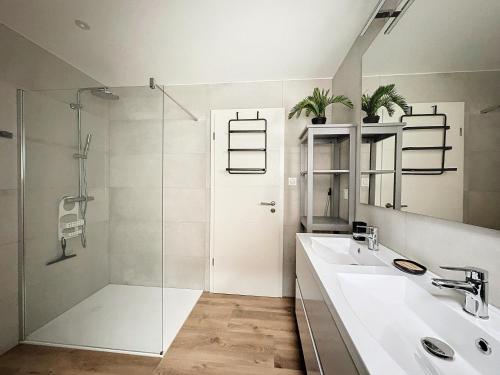 凯泽贝尔Le Gite du Kaiser的一间带两个水槽和玻璃淋浴间的浴室