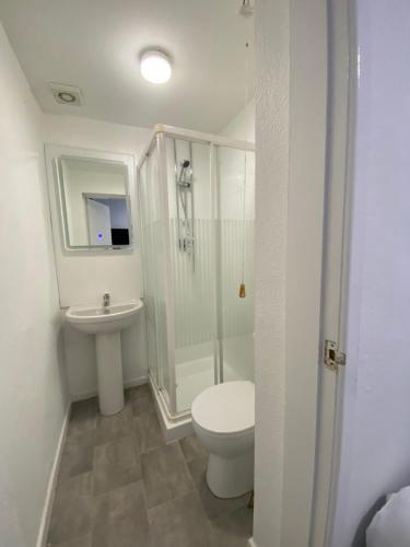 布莱克浦The New Athena Hotel的浴室配有卫生间、淋浴和盥洗盆。
