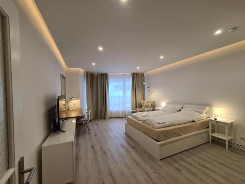 汉诺威Soleil Rooms - Pure Living in the City Center的一间卧室配有一张床和一台电视