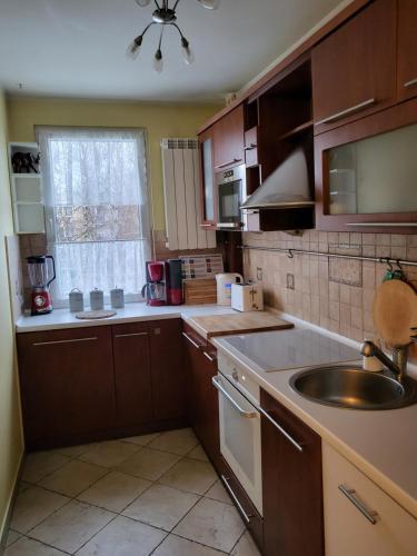 克拉科夫Przytulne mieszkanie Wola Duchacka的厨房配有木制橱柜、水槽和窗户。