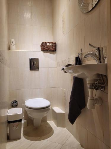 克拉科夫Przytulne mieszkanie Wola Duchacka的一间带卫生间和水槽的浴室