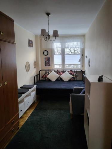 克拉科夫Przytulne mieszkanie Wola Duchacka的一间卧室配有一张带窗户和沙发的床