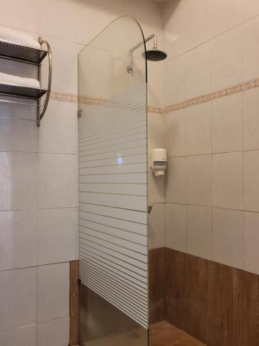 圣多明各Drake Bolivar Santo Domingo的浴室里设有玻璃门淋浴