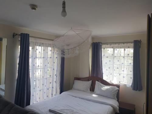 内罗毕Mvuli suites studio的一间卧室设有一张床和两个窗户。