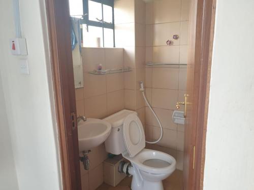 内罗毕Mvuli suites studio的一间带卫生间和水槽的小浴室