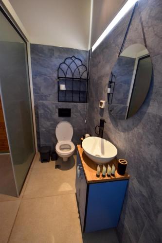 Beʼer OraDesert view studio的一间带卫生间、水槽和镜子的浴室