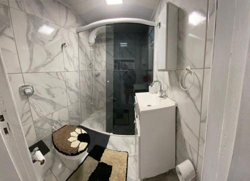 南圣弗朗西斯科Pousada Alto da Maroca的带淋浴、卫生间和盥洗盆的浴室
