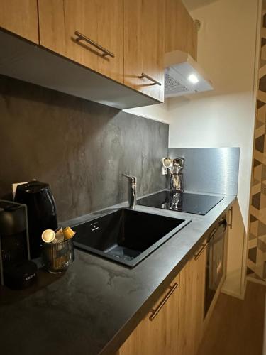 马尔比伊松Studio « Le petit montagnard »的厨房配有黑色水槽和木制橱柜