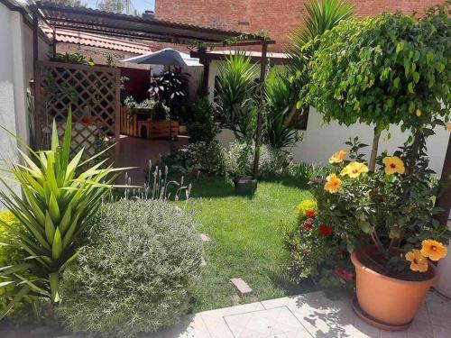 科恰班巴Departamento 2 habitaciones的庭院里种有植物和花卉的花园