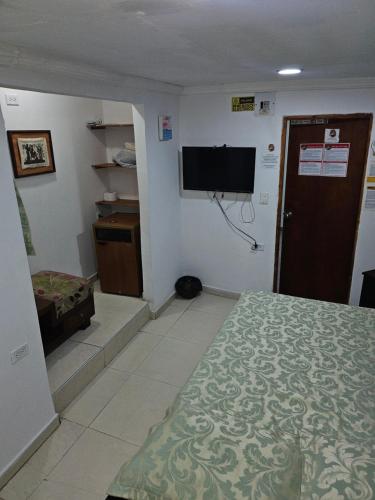 圣安德烈斯El Hostal By Pochet的一间卧室配有一张床和一台平面电视