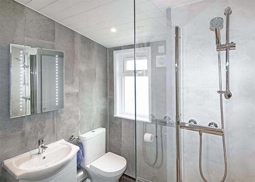 斯沃尼奇Swanage Coastal Park的浴室配有卫生间、盥洗盆和淋浴。