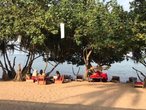 白马市Fat Rabbit Beach Resort的一群人坐在海滩上树下