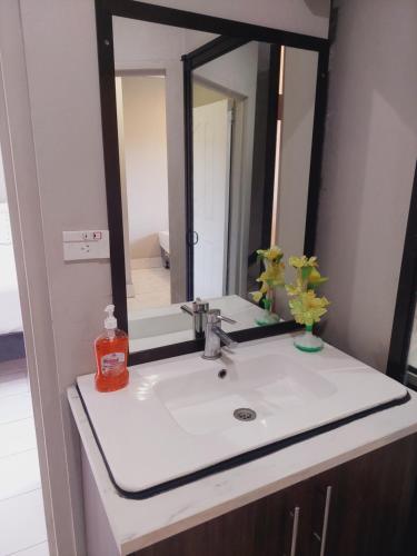 南迪Master Deluxe Room的一间带水槽和镜子的浴室
