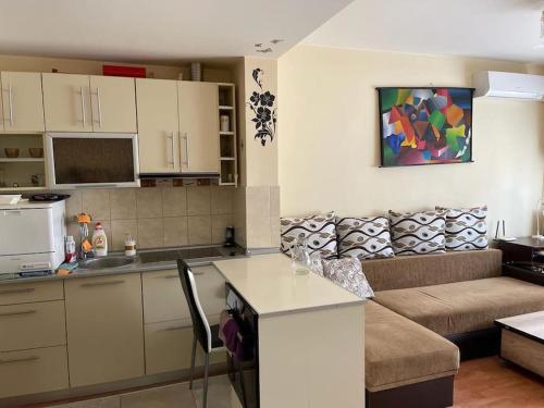 萨图马雷Apartament cu un dormitor / One bedroom apartment的厨房以及带沙发的起居室。