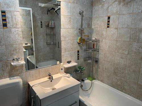 萨图马雷Apartament cu un dormitor / One bedroom apartment的浴室配有水槽、淋浴和浴缸。