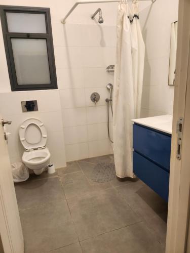 Shadmot Devoraחאן דרך העץ - חדרי מטיילים的浴室配有卫生间、盥洗盆和淋浴。