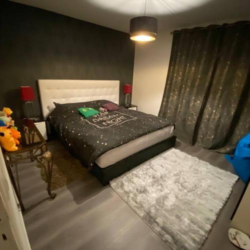 诺瓦西勒塞克Appartement cosy Noisy le sec的一间卧室配有一张带黑色棉被的床
