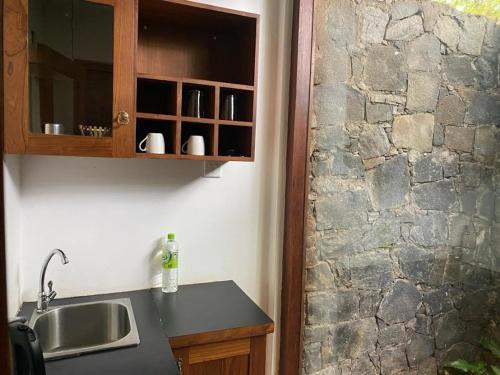 阿努拉德普勒特温布洛克斯自然度假屋的一个带水槽和石墙的厨房