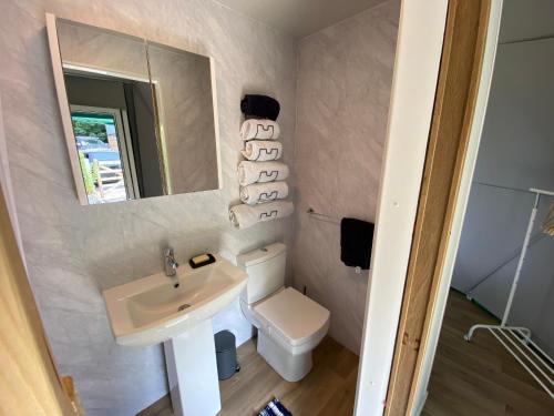 本莱赫Benllech Glamping的一间带水槽、卫生间和镜子的浴室